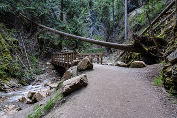 Margaret Falls loop trail with mountain stream near Shuswap lake British Columbia with scenic hiking trail