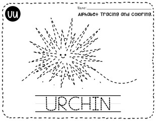 Urchin alphabet U letter tracing, Animal trace and coloring pages for kid, Coloring pages outline, English vocabulary, Kindergarten and preschool activity, Alphabet tracing worksheet.