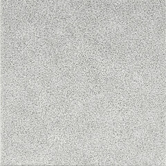 Fototapeta premium Textured Grey Surface Close-up. Background Blurred, Suitable for Website Design