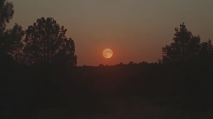 Full Moon Rising Over Silhouetted Trees at Sunset
