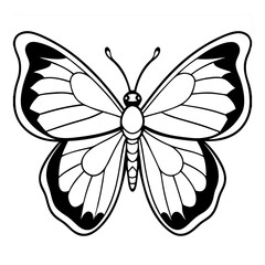 Cartoon  Clouded sulphur butterfly line art  isolated on White background 