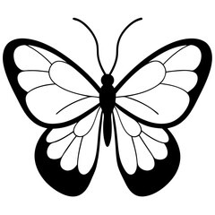 Clouded sulphur butterfly line art  isolated on White background