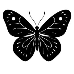 Clouded sulphur butterfly silhouette isolated on White background.   