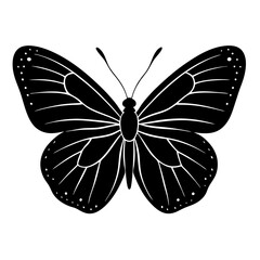 Clouded sulphur butterfly silhouette isolated on White background.   