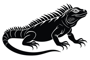 Fototapeta premium Iguana black and white illustration isolated on white background