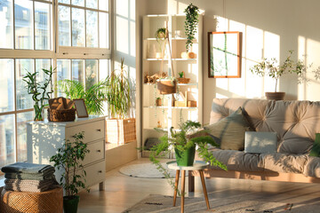 Interior of light living room with green plants, sofa and shelf unit