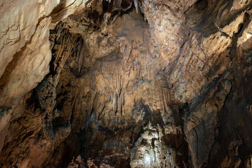 鍾乳洞の荘厳な天井（鍾乳石）