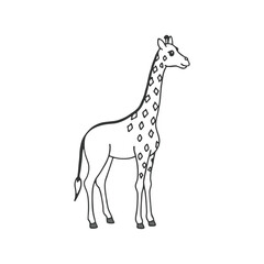 Naklejka premium Giraffe silhouette vector illustration art design. Giraffe vector design isolated on white background. Wild animals, wild creatures, wildlife concept. Cartoon animal in flat style.