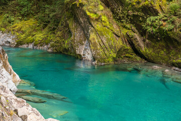 The clear pure turquoise water in the blue springs tourist attraction near Makaroa in Haast Pass en route to the West Coast