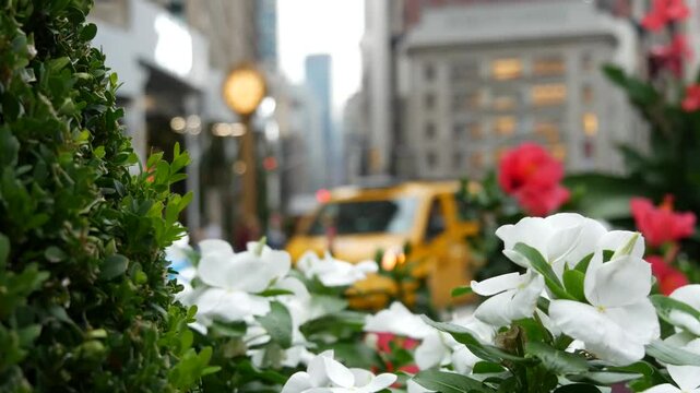 New York City, United States, Manhattan Midtown Broadway, 23 street, 5 avenue crossroad intersection. Worth Square near Madison Park and Flatiron Building, USA. Yellow taxi cab, street clock, flowers.