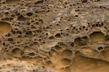 A textured rock surface is riddled with holes, creating a honeycomb-like pattern. The rough, weathered stone shows signs of erosion, with varying shades of brown and gray highlighting the cavities.