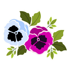 Blue and Pink Pansy Flowers