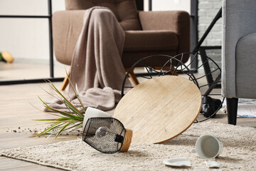 Overturned table with lamp and plant on carpet in messy room
