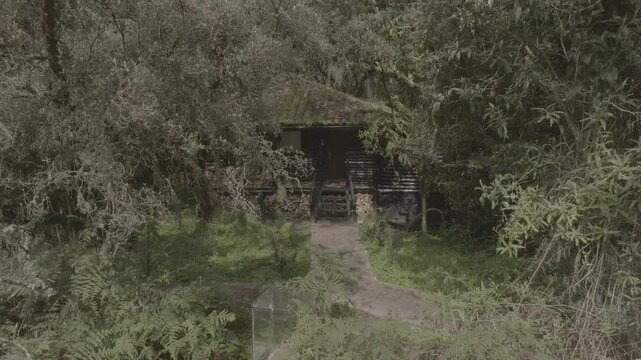 Aerial video above natural reserve el angel ecuador