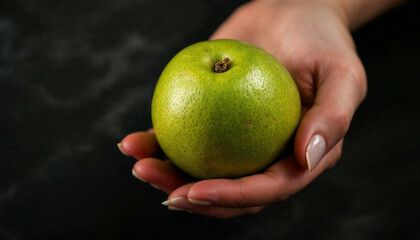 Guava on palm hand HD photo. Fresh guava HD picture