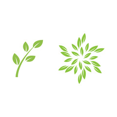 Green leaf logo vector template element symbol design