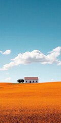 White House in Orange Field Under Blue Sky