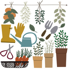 set of plants, garden, rest  hand draw