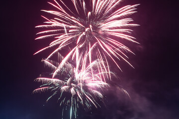 Spring Festival fireworks bloom in the night sky