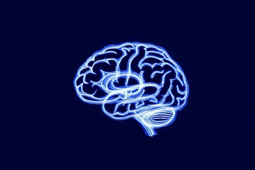 brain