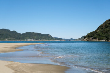 野生の猿が生息する日南海岸の幸島