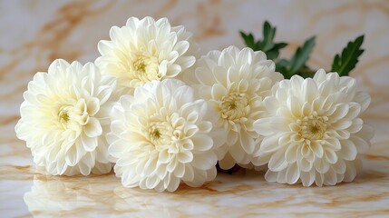 Naklejka premium White dahlias bouquet marble background sympathy