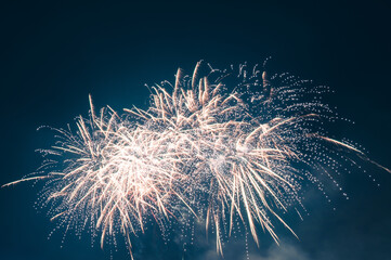 Spring Festival fireworks bloom in the night sky