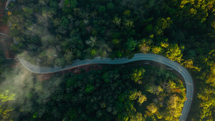 Aerial view of forest road and farm in the morning. Travel. Green transport. Aerial view.
