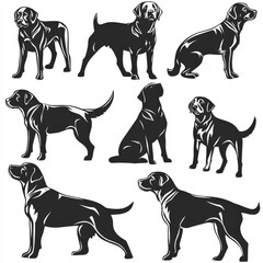labrador retriever dog silhouettes set