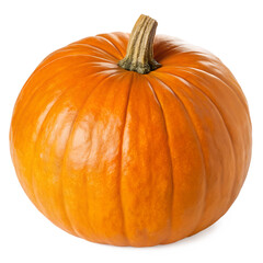 Obraz premium pumpkin isolated on white background