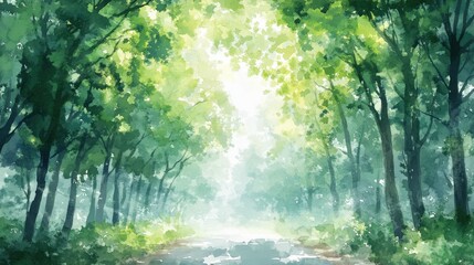 Lush green forest pathway illuminated by soft sunlight filtering through the leaves
