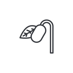 Sprout line icon