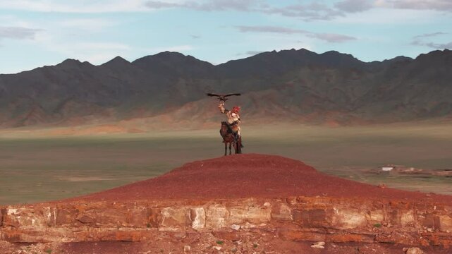 Aerial drone view of a traditional Mongolian eagle hunter on horseback, climbing a hill with the eagle in his arms, spectacular shot with the steppe in the background at sunset