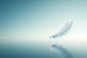 Minimalist nature background with a single floating feather