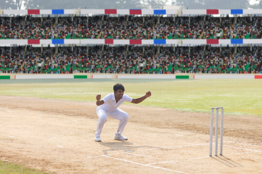 A bowler appealing to the umpire, during a cricket game