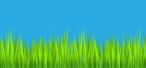 green grass on blue background vector illustration