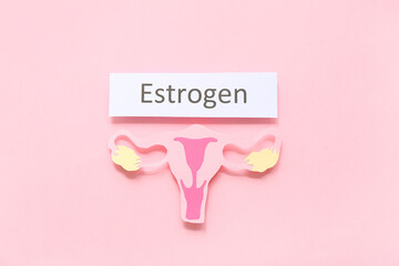 Word ESTROGEN with paper uterus on pink background