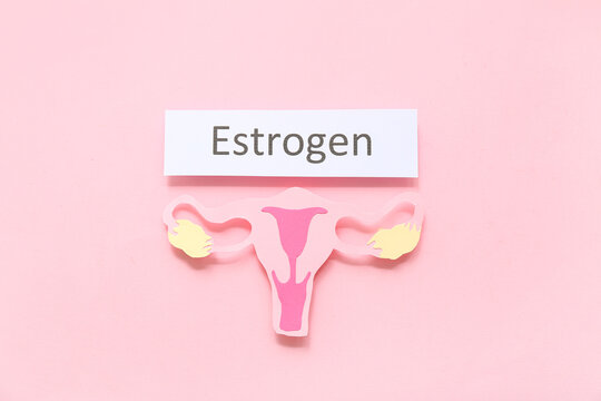 Word ESTROGEN with paper uterus on pink background