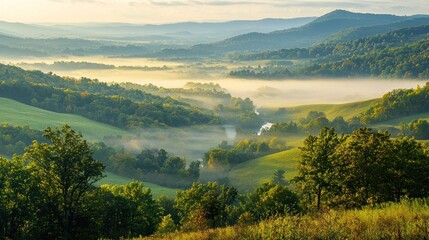Fototapeta premium A foggy valley with rolling hills and a river winding through the valley floor, creating a serene landscape.