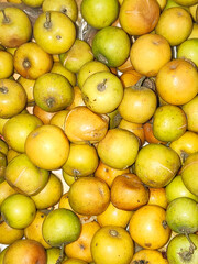 Green jujube of Indian ,dumps, dunks, Chinese date,Chinese apple or pomme surette ,bogori in Assamese 