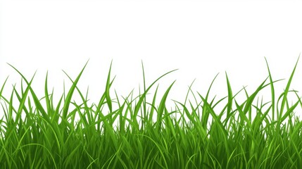 A natural green grass field with crisp, sharp details in every blade, creating a fresh and organic look.