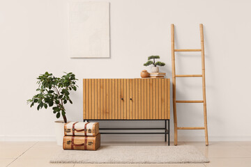 Interior of modern room with stylish dresser, houseplant and ladder near white wall