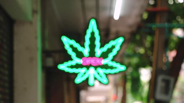 Green neon sign of cannabis shop on the wall on the street. Marijuana leaf with inscription open. Blurred focus change effect 