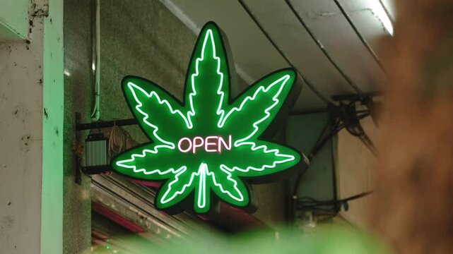 Green neon sign of cannabis shop on the wall on the street. Marijuana leaf with inscription open. Legalization for tourists 