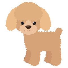 Cute poodle puppy  dog vector cartoon illustration