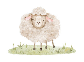 Little Sheep on green meadow. Lamb grazing in field. Isolated hand drawn kids watercolor illustration. Clipart of Farm animal for children's design and packing of goods
