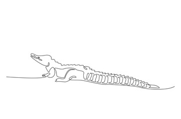 Crocodile in continuous one line drawing. Single line art draw of Alligator. Editable vector.