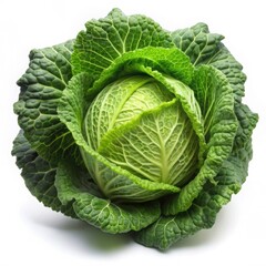 Obraz premium Fresh Green Savoy Cabbage Vegetable - Healthy Eating