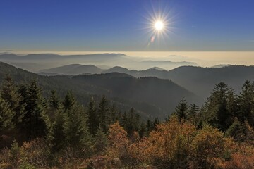 Obraz premium Sunset at Schliffkopf, Autumn, Black Forest Road, Black Forest National Park, Northern Black Forest, Baden-Württemberg, Germany, Europe
