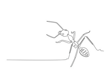 Black ant in continuous one line drawing. Single line art draw of ant. Editable vector.